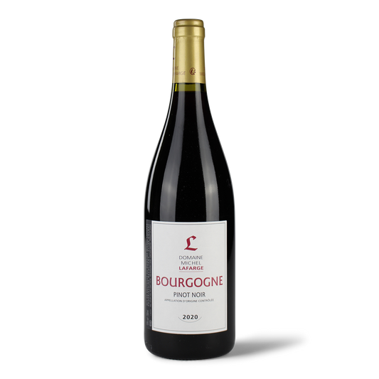 Weinflasche Bourgogne Pinot Noir