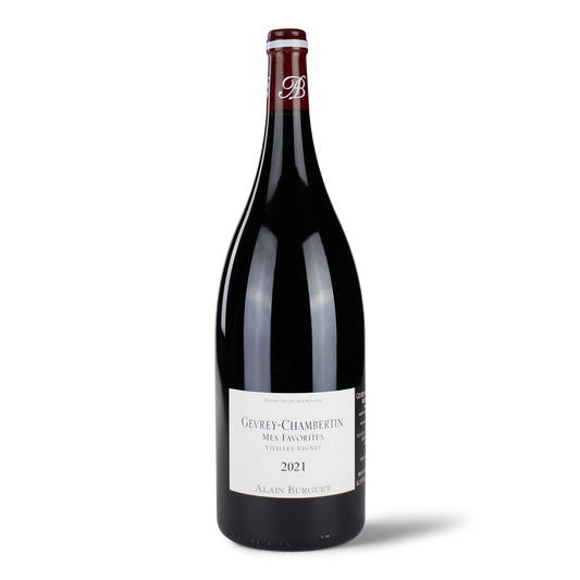 Weinflasche Gevrey-Chambertin 2021 Magnum.