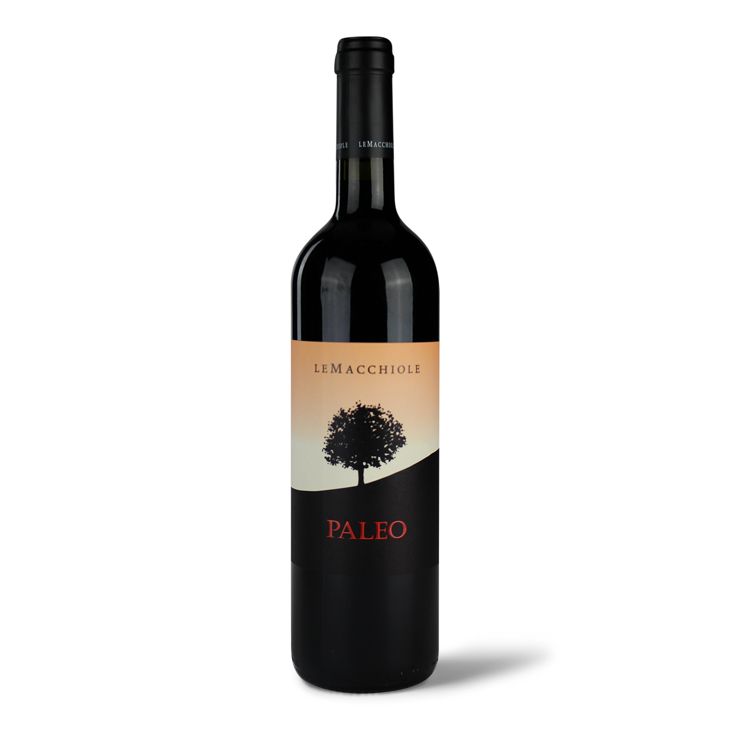 Paleo 2022 IGT